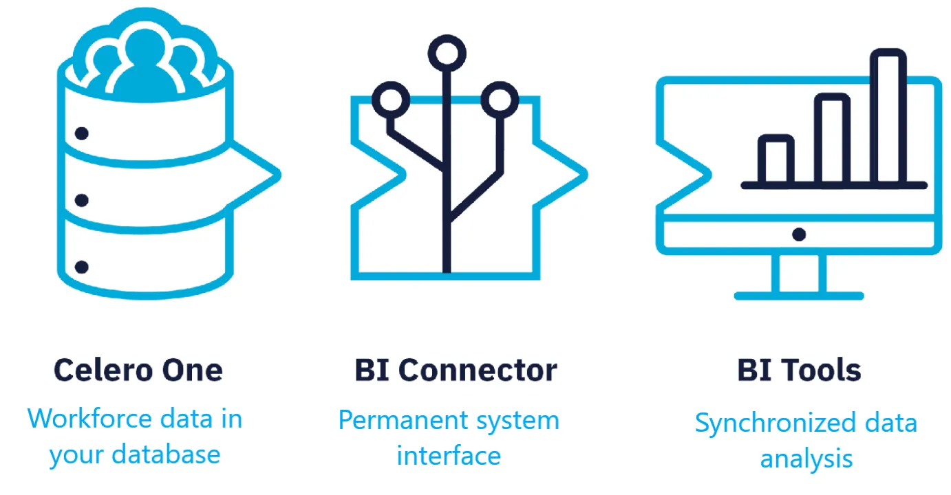 Celero Cloud GmbH- business intelligence connector chart
